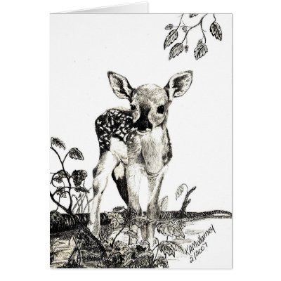 Newborn Fawn card by kmullarney