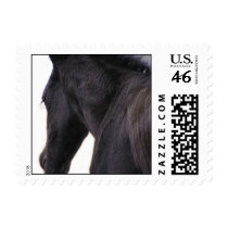 Newborn Foal Stamps