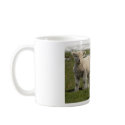 Newborn Lambs mugs by sbdugdale Newborn Lambs mugs