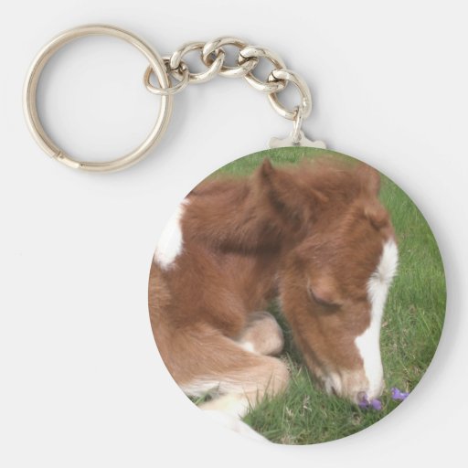 Newborn Pony - Spirit Key Chains