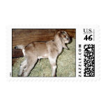 Newborn Postage