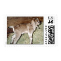 Newborn postage