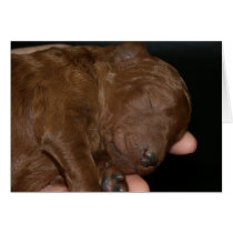 Newborn Series-03 cards by HeatherPendragon Newborn Series-03 cards
