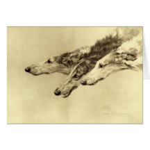 Newcastle Borzoi Cards