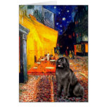 Newfie 2 - Terrace Cafe Cards