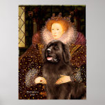 Newfie (brown) - Queen Poster
