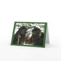 Newfie Christmas cards by noblenewf Newfie Christmas cards