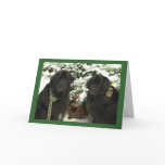 Newfie Christmas