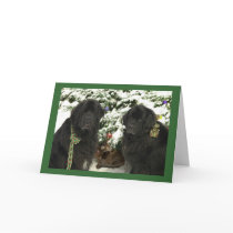 Newfie Christmas cards by noblenewf Newfie Christmas cards