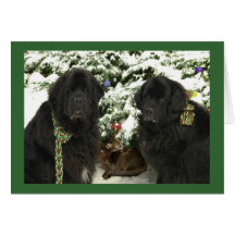Newfie Christmas Cards