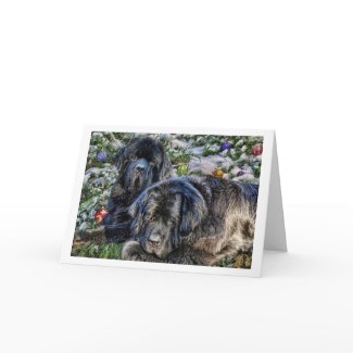 Newfie Holiday Wishes card