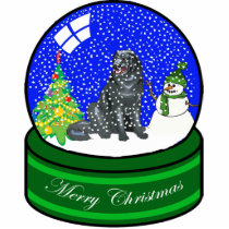 newfie snow globe photo sculptures