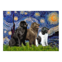 Newfie Trio - Starry Night posters by masterpiecedogs Newfie Trio - Starry Night posters