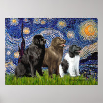Newfie Trio - Starry Night Print