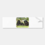 Newfoundland 9M100D-090 Bumper Sticker