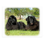 Newfoundland 9M100D-090 Post Cards