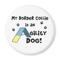 Newfoundland Agility Dog magnets