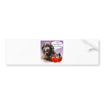 Newfoundland (brown) Halloween Candy bumper stickers