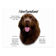 Newfoundland (Brown) History Design Postcard