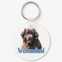 Newfoundland (brown) Name keychains