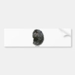 Newfoundland Bumper Sticker