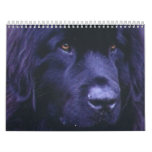 Newfoundland Calendar