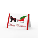 Newfoundland Christmas Card
