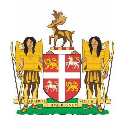 Newfoundland Coat Of Arms T-shirt by teyes143