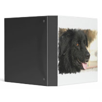 Newfoundland Dog Binder