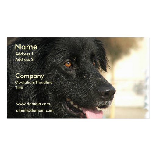 Newfoundland Dog Business Card (front side)