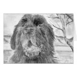 Newfoundland Dog Cards