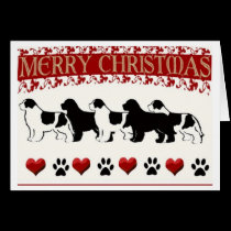 Newfoundland dog Christmas Card cards