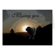 Newfoundland Dog greeting card