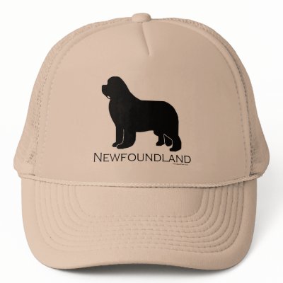 Newfoundland Dog Hat by handandpaw
