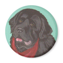 NEWFOUNDLAND DOG MAGNET magnets