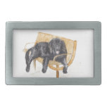 Newfoundland Dog on bench, belt buckles