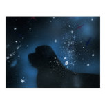 Newfoundland dog painting postcard