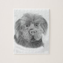 Newfoundland dog portrait puzzles