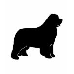 gentle, giant, black, newf, newfy, newfie,