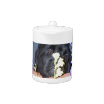 Newfoundland dog tea pot