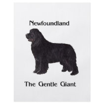 Newfoundland Dog The Gentle Giant flyers