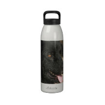 Newfoundland Dog Water Bottle
