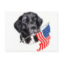 Newfoundland Dog with Flag Post Cards