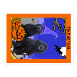 Newfoundland Dogs Halloween Postcards
