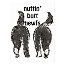Newfoundland dogs postcards