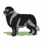 Newfoundland