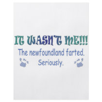 Newfoundland flyers