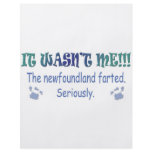 Newfoundland Full Color Flyer
