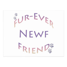 Newfoundland Fur-ever Friend Postcards
