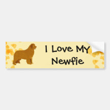 Newfoundland - Gold Leaves Design Bumper Stickers
